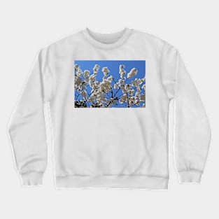 White Cherry Blossom Crewneck Sweatshirt